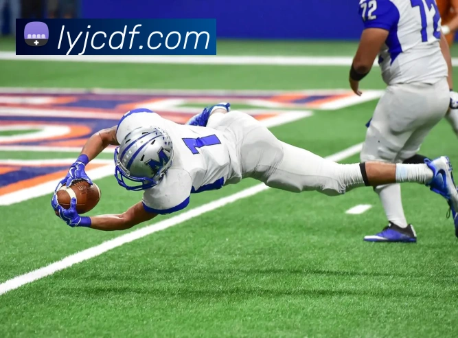 巅峰国际发展历程